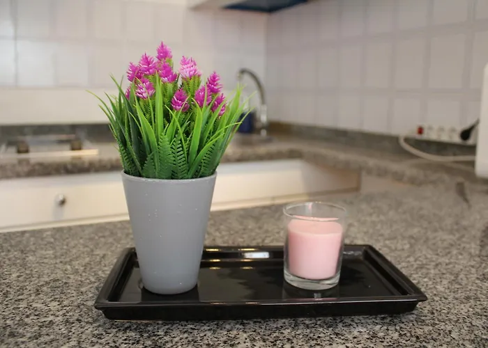 Daire Playmar Bung 167 *